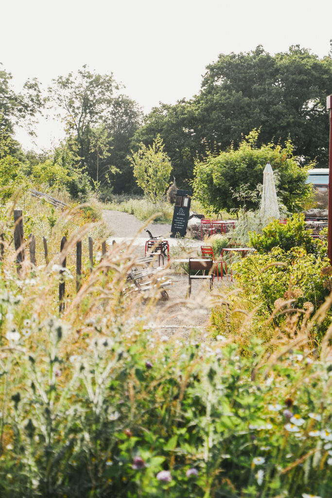 1000127948_305e8d60a062a401915539fddecb81b0-16_04_2025, 19_11_16