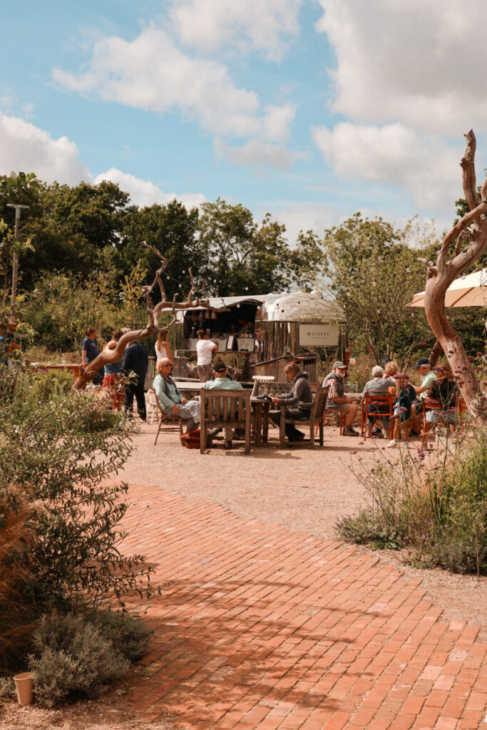 1000127953_c6ed87d94d5b00746f0706423fb5e373-16_04_2025, 19_52_44