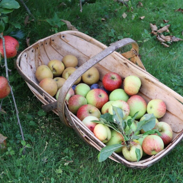Burnt Apple Puree & Roast Pork