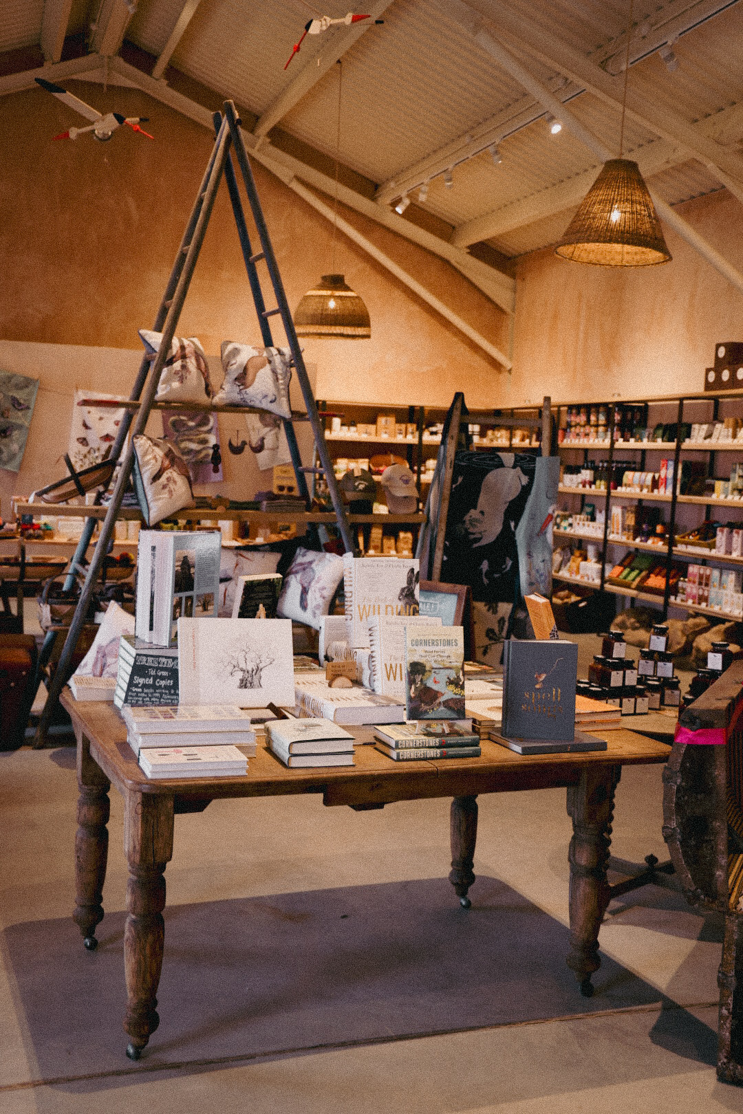 Knepp Wilding Shop 4 credit Lia Brazier